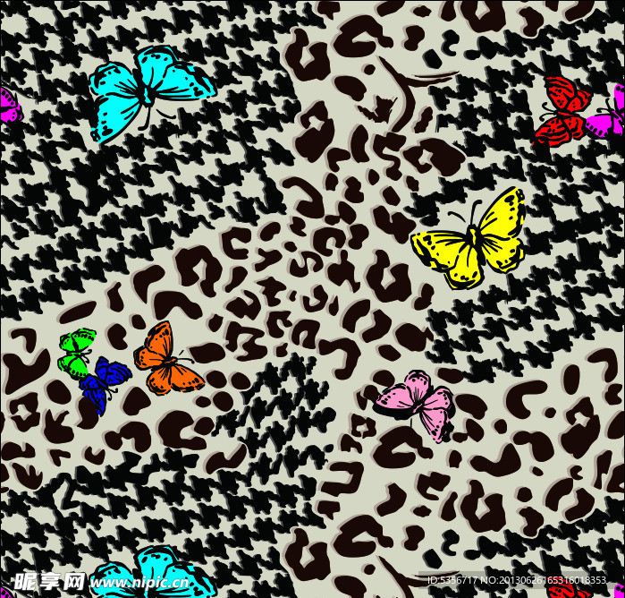 豹纹 蝴蝶