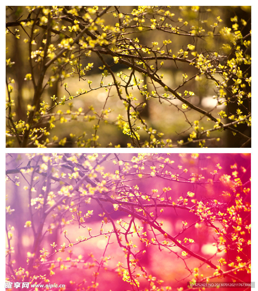 PS风景调色动作