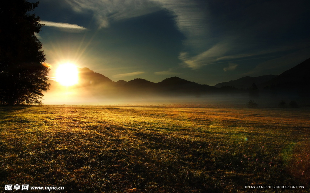 阳光与树图片素材下载