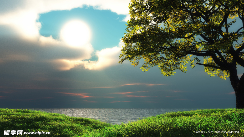 阳光与树图片素材下载