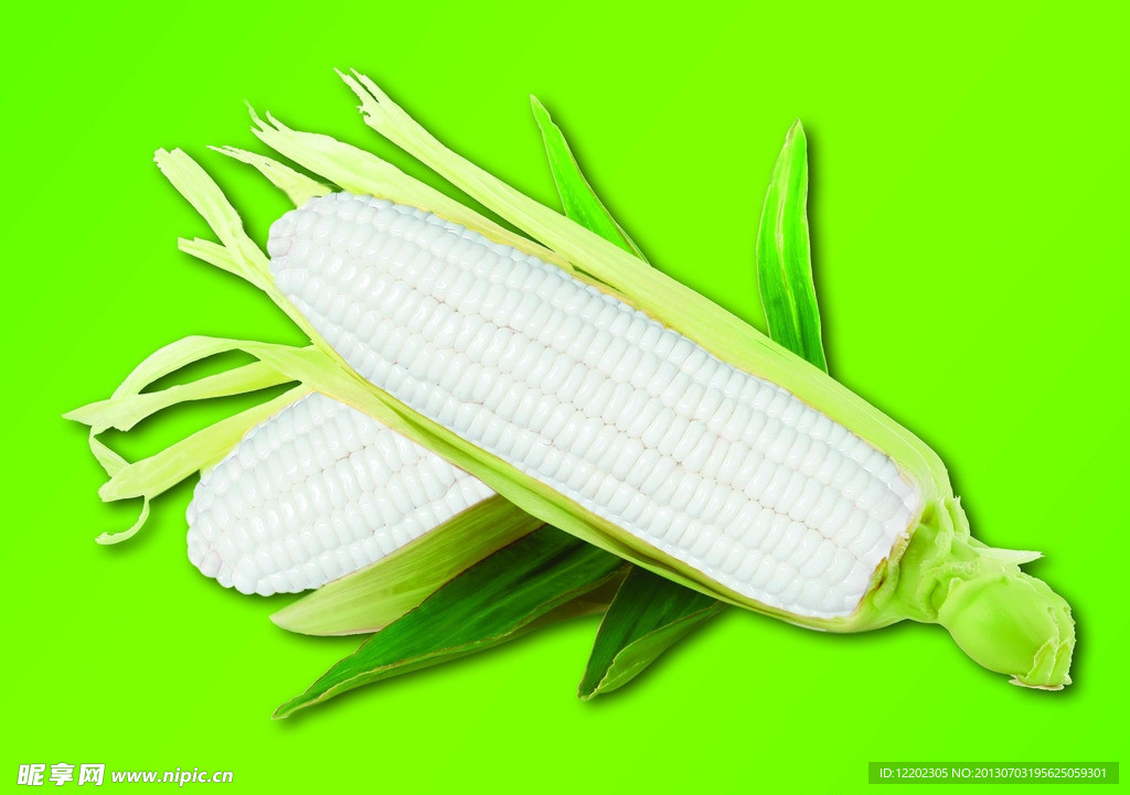 玉米图