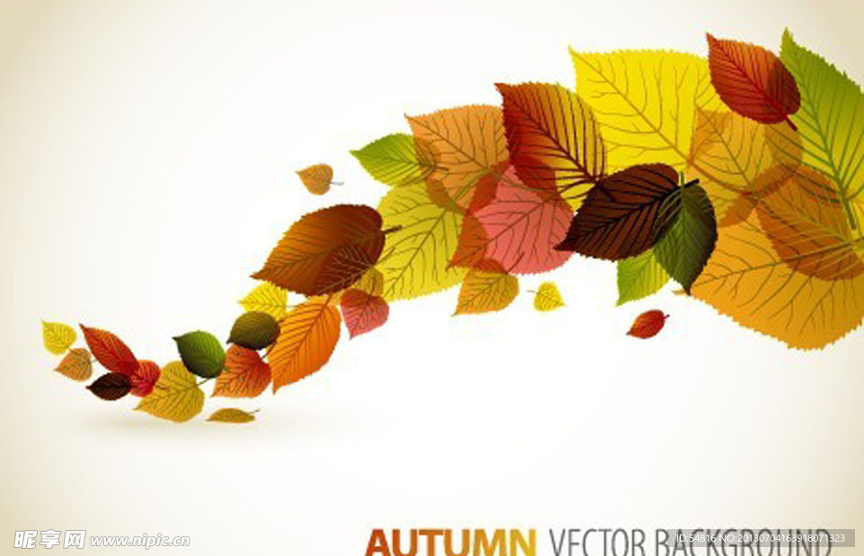 秋天树叶矢量图