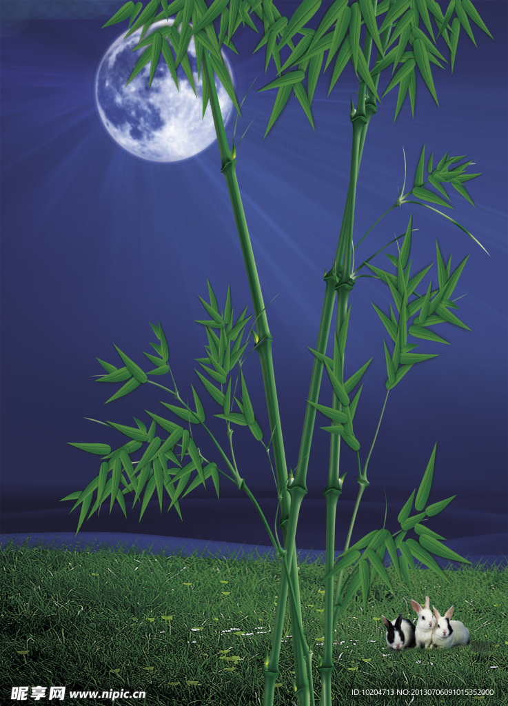 竹子月光