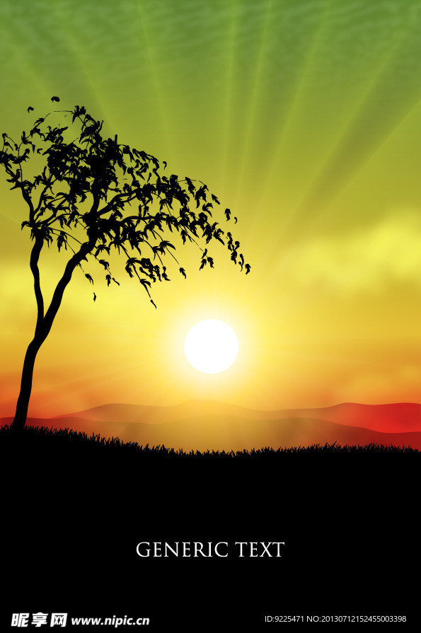 太阳朝霞树木