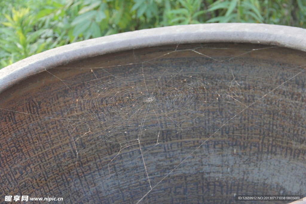 蜘蛛网