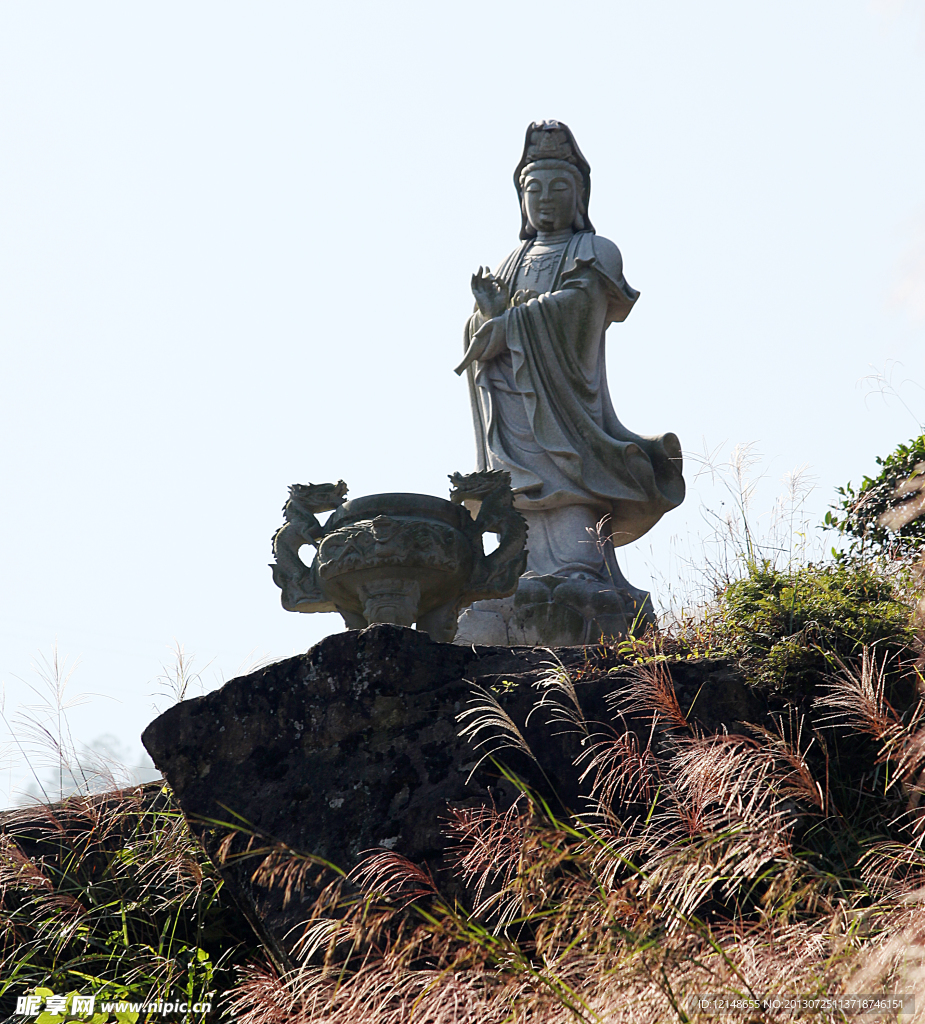 泉州安溪铁观音