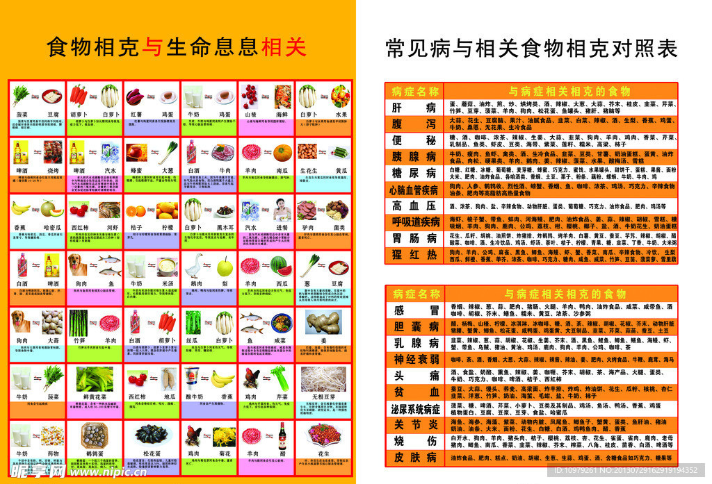 食物相生相克表