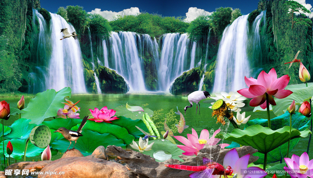 荷花 瀑布 蜻蜓