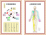 中医脏腑理 人体脉络