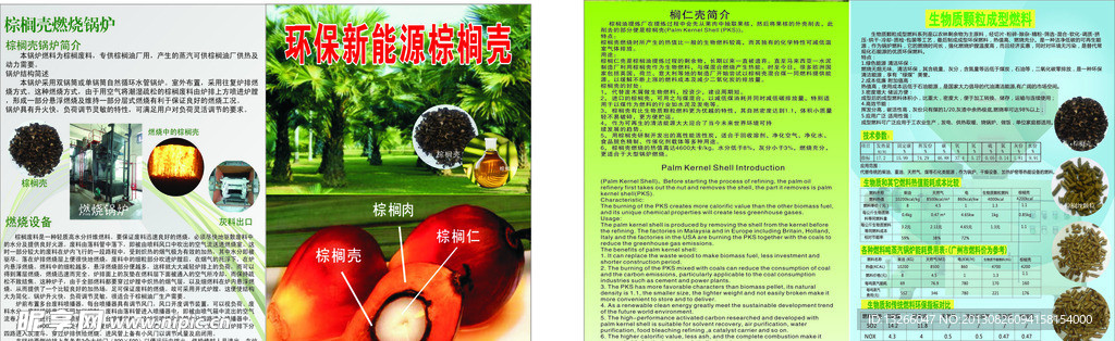 棕榈壳