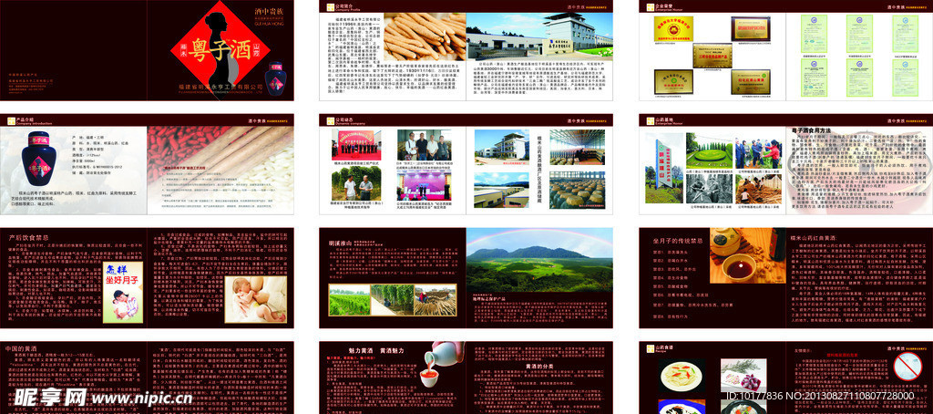 归化红酒类宣传册