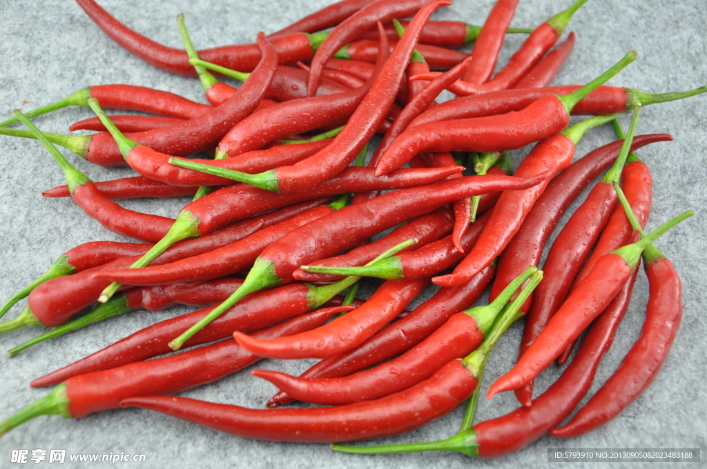 红辣椒1