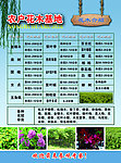花木宣传单
