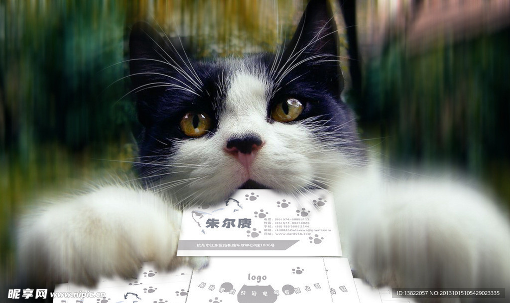 宠物店名片设计