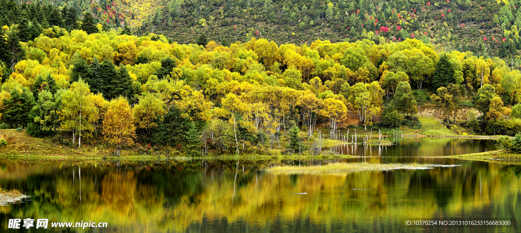 金色都属湖风光