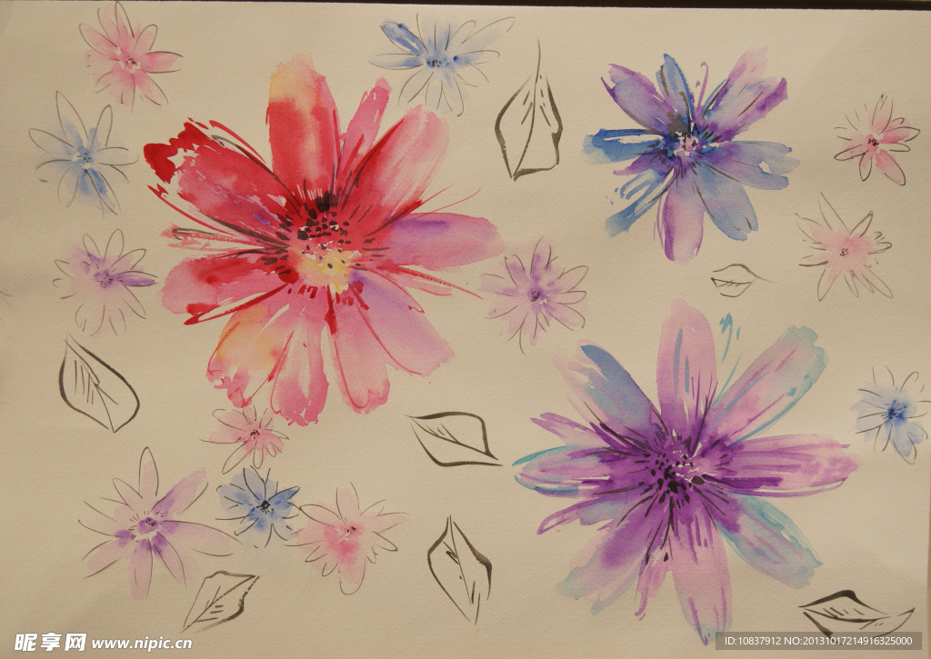 手绘花卉 水彩花卉