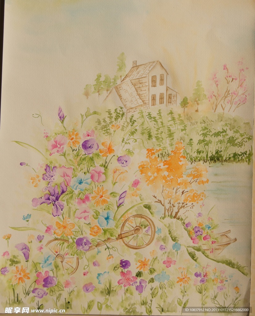 手绘花卉 水彩花卉