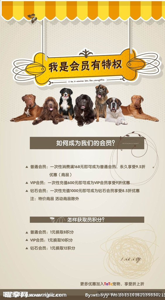 宠物店宣传海报