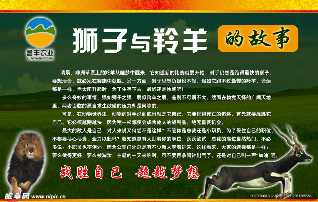 狮子与羚羊的故事