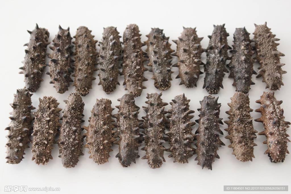 淡干海参摄影图