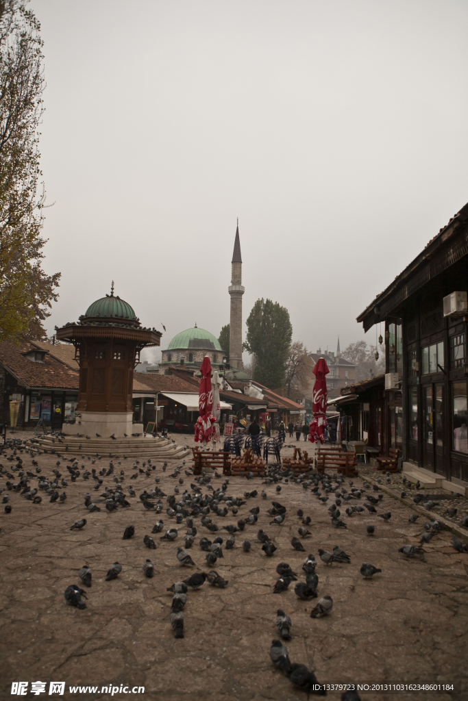 萨拉热窝的鸽子广场