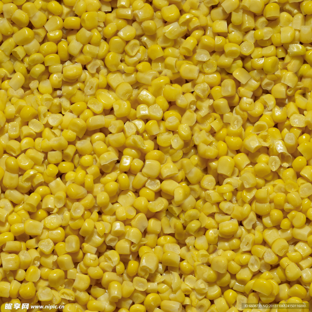 玉米 食物 粮食