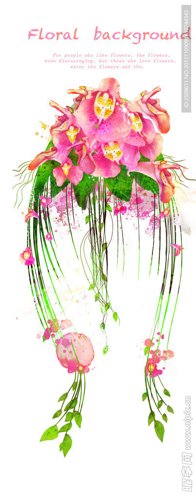 粉色香艳蝴蝶兰