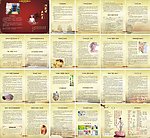 抗衰老五行灸画册