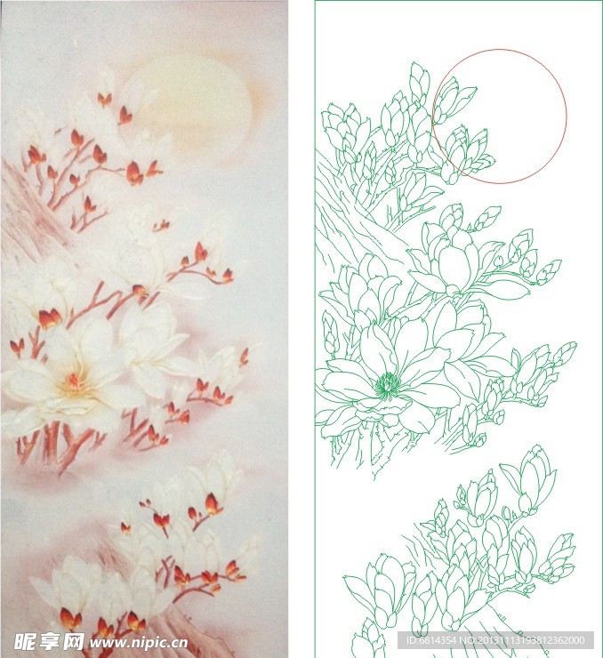 花好月圆 玉兰花