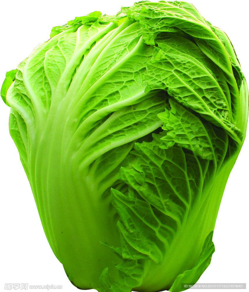 夏庄大白菜胶州大白菜