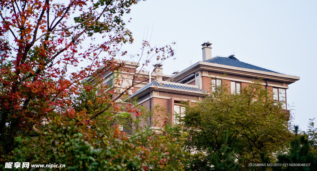 洋房园林 景观豪宅