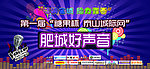 肥城好声音幕布
