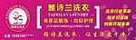 雅诗兰洗衣