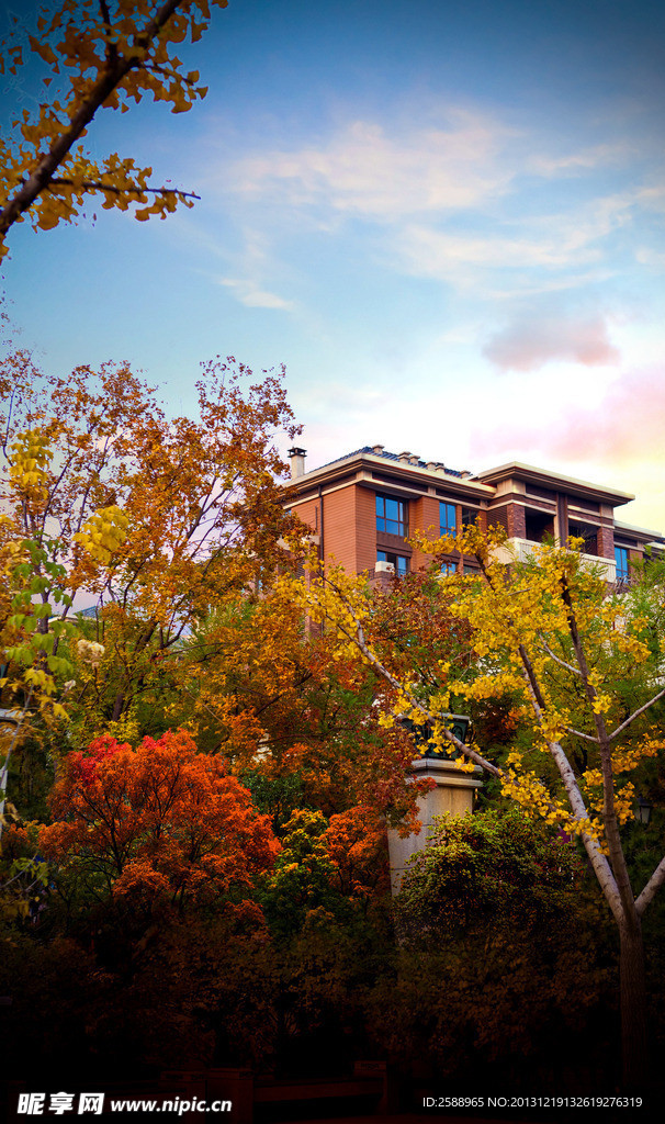 豪宅园林 欧式花园景