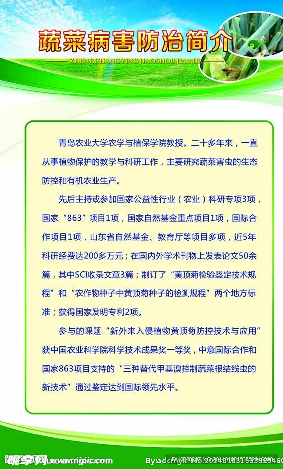 展板设计模板 昆虫2