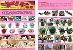 花店宣传单