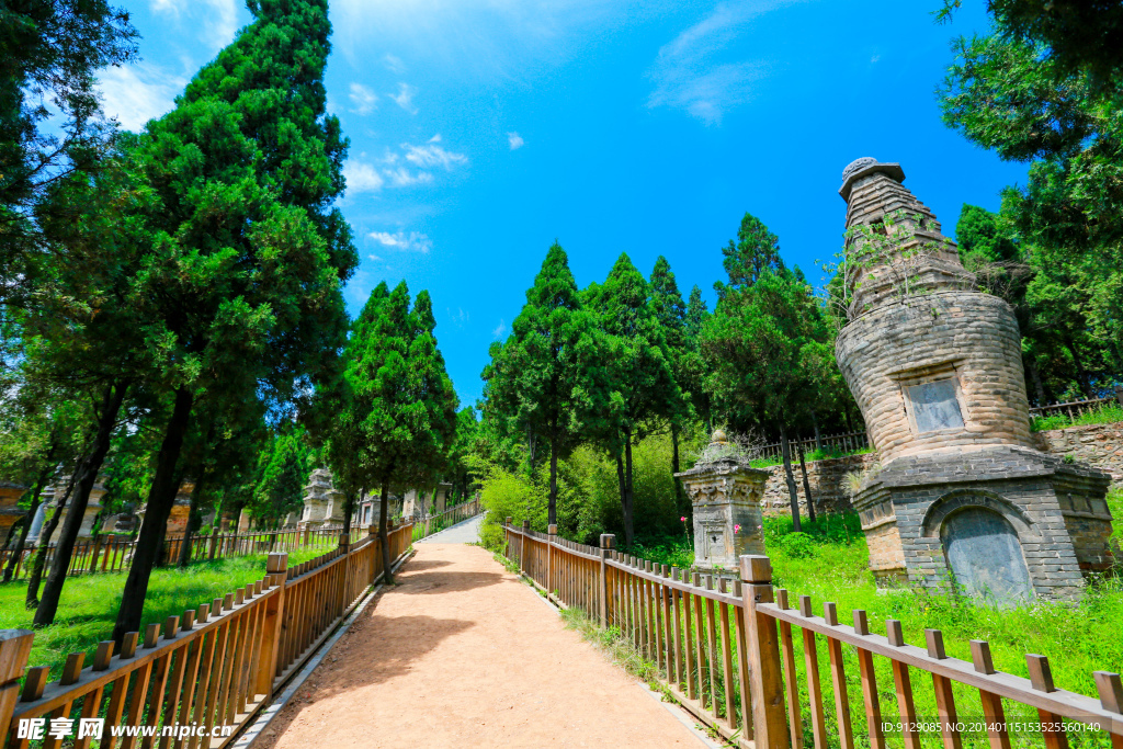 嵩山少林景区塔林