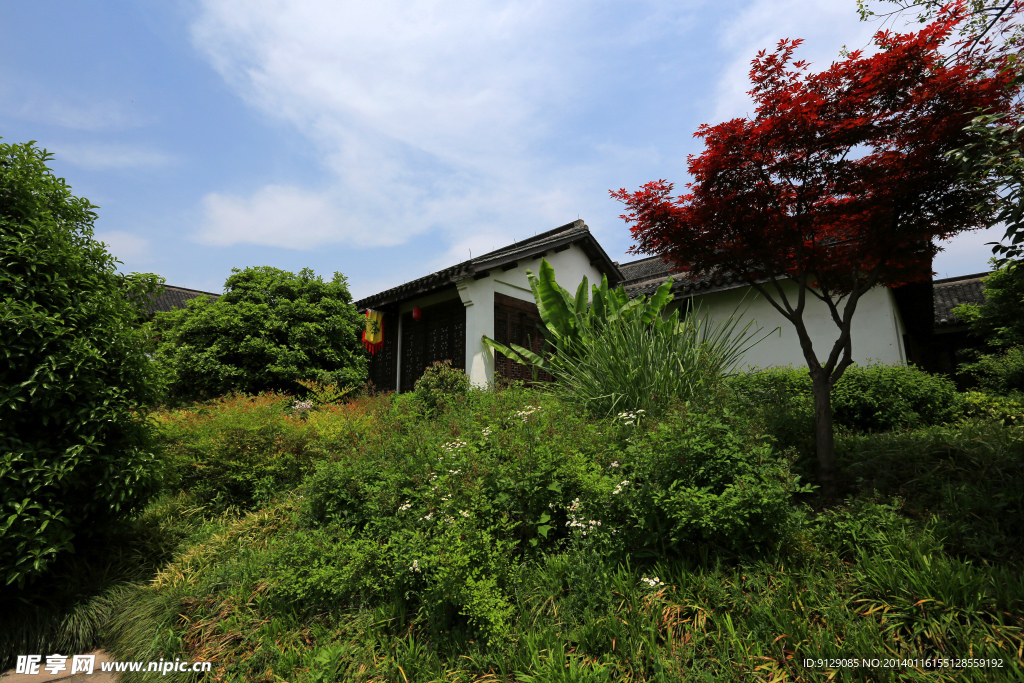 杭州西溪湿地西区