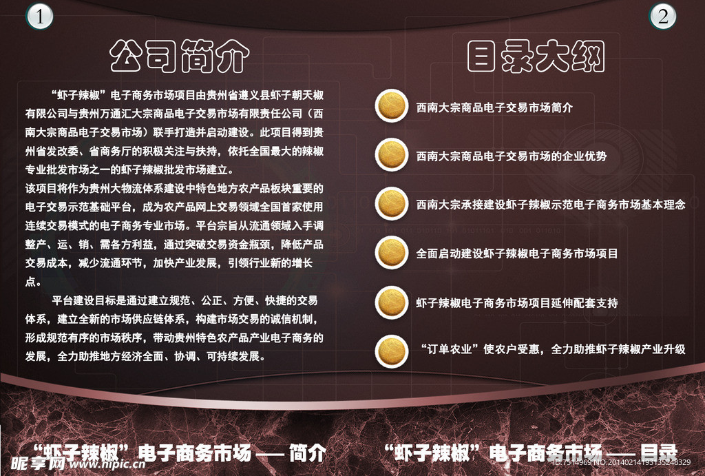 电商项目宣传册