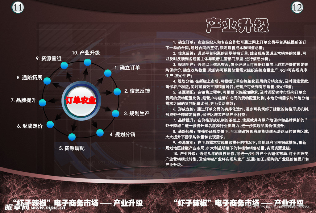 电商项目宣传册