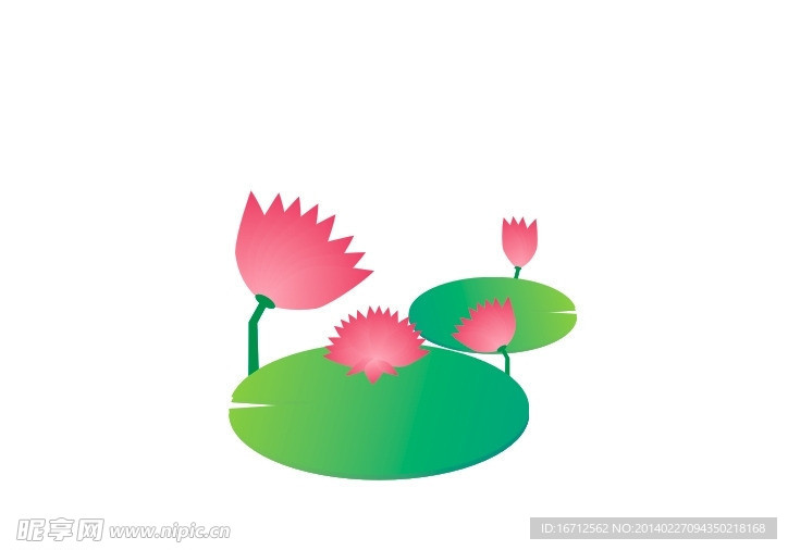 荷花矢量素材
