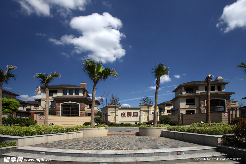 独栋 别墅 联排