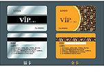 VIP卡 贵宾卡