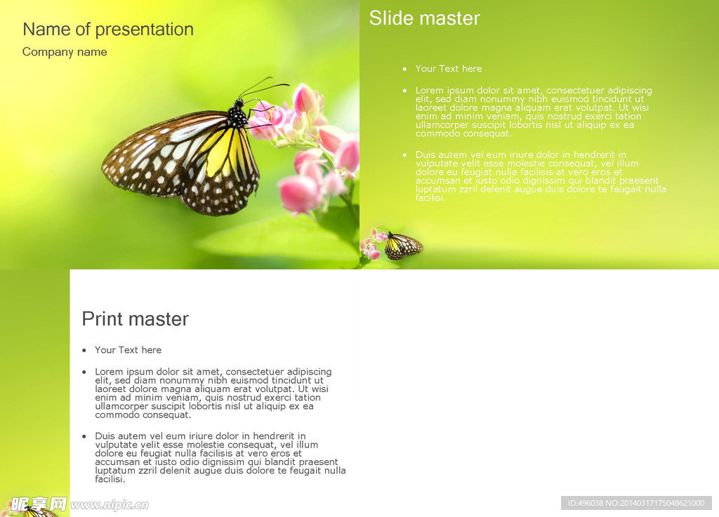 蝴蝶PPT