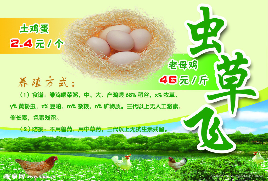 土鸡蛋宣传销售