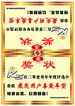 K5获奖车顶牌