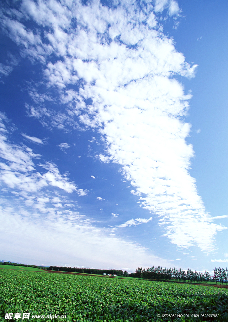 田野素材图片 田野