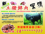 土猪鲜肉