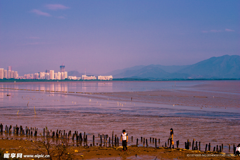 深圳湾