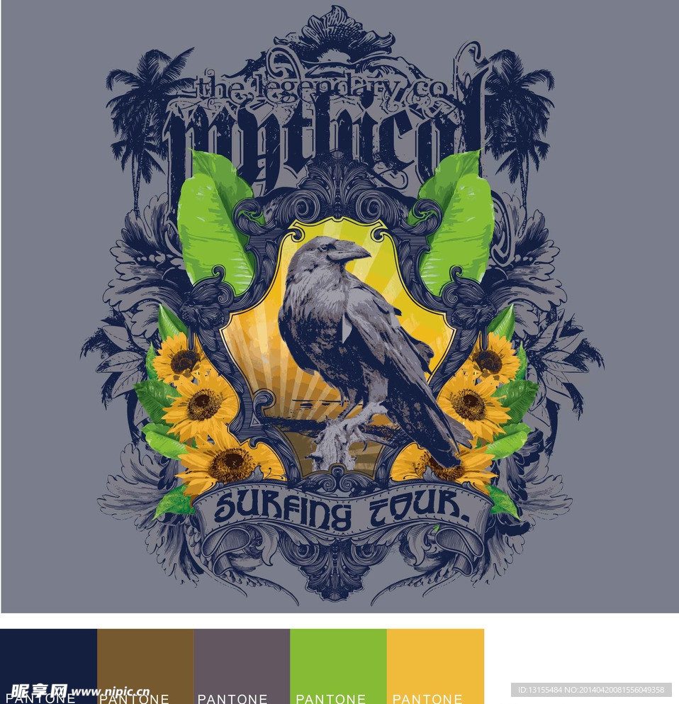 鸟儿 夸张 素材